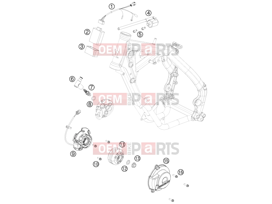 KTM 65 SX (6001I6) [EU] 2009 IGNITION SYSTEM|Engine|39