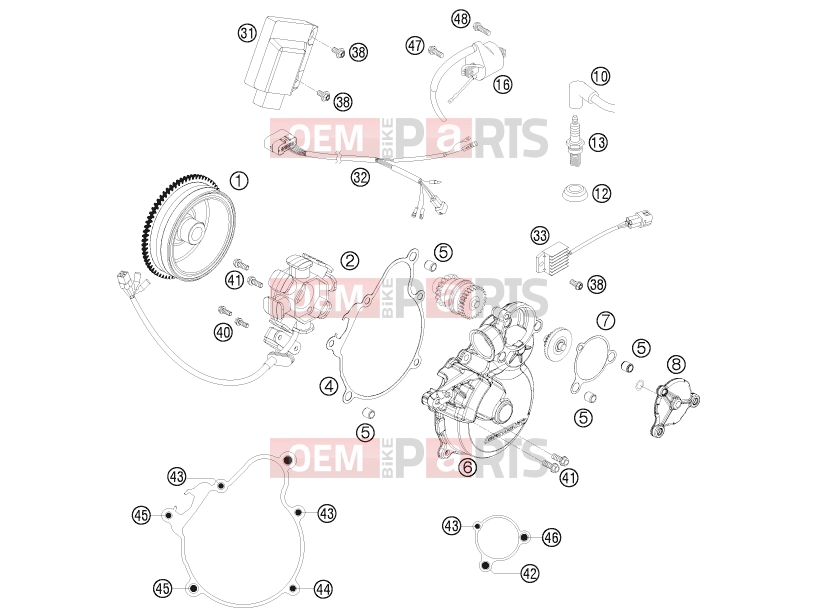 KTM 300 EXC-E (7403H1) [EU] 2008 IGNITION SYSTEM|Engine|39