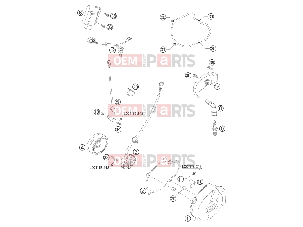 KTM 525 SX (8501F5) [EU] 2006 IGNITION SYSTEM|Engine|39