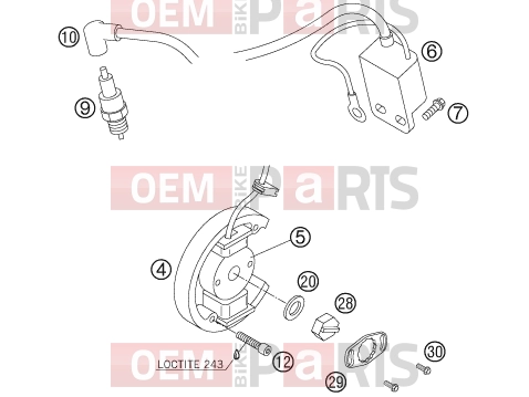 KTM 50 SX JUNIOR (6001F3) [EU] 2006 Engine » IGNITION SYSTEM