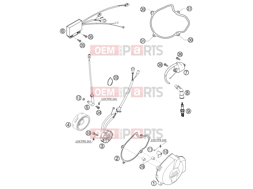 KTM 450 SX RACING (840135) [EU] 2003 Engine » IGNITION SYSTEM