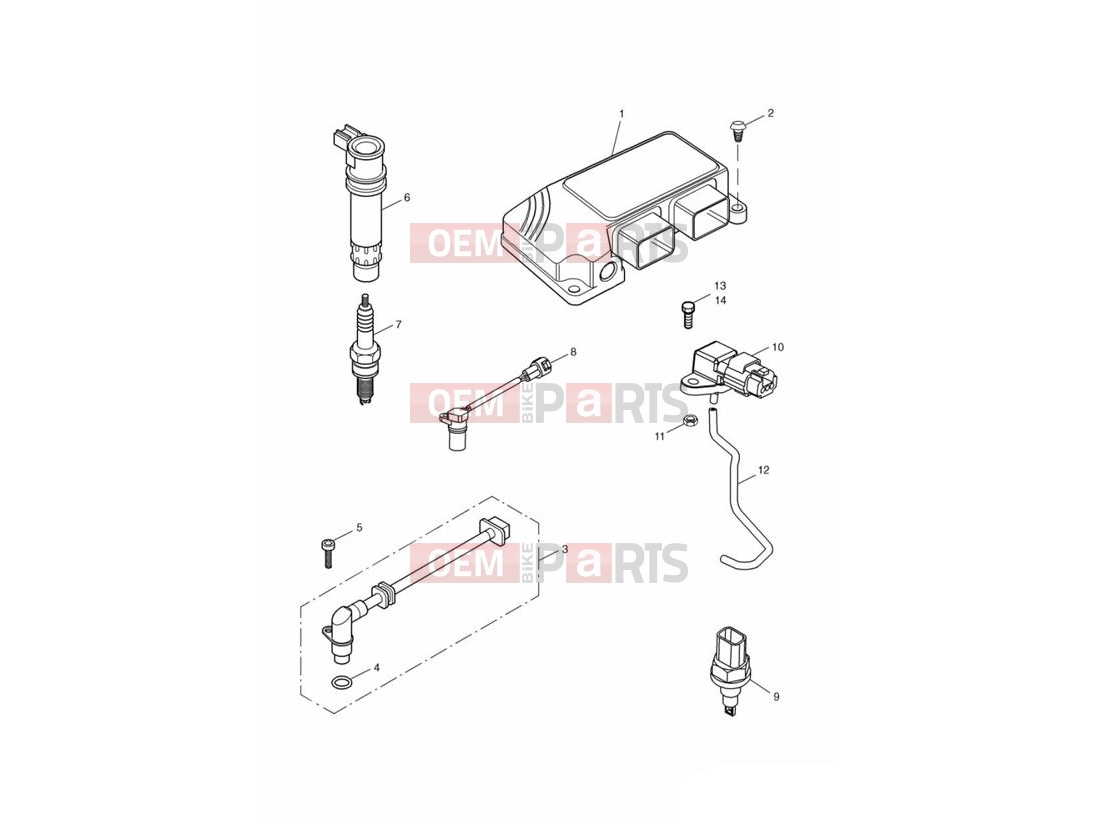 Triumph 2006 DAYTONA 600 & 650 Engine Management System