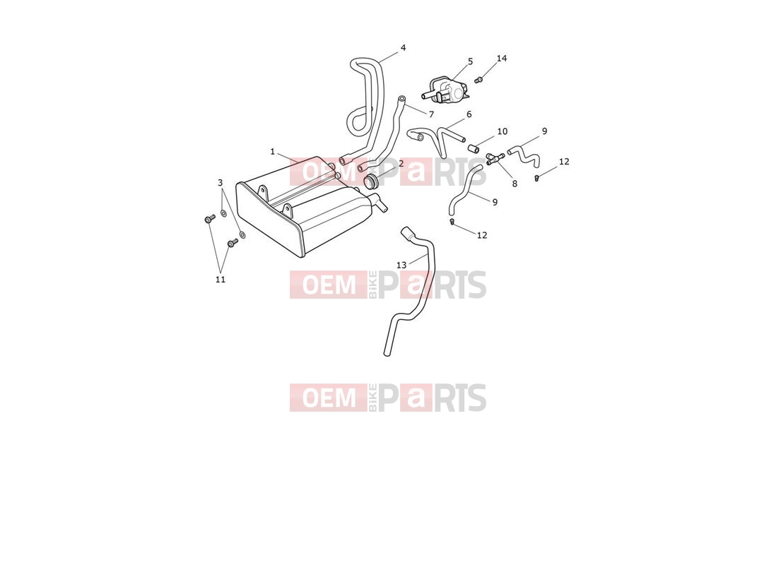 Triumph 2021 Thruxton RS Evap System