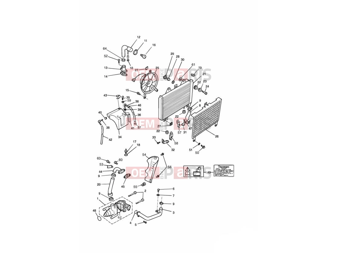 Triumph 1993 SPRINT CARBS Cooling System