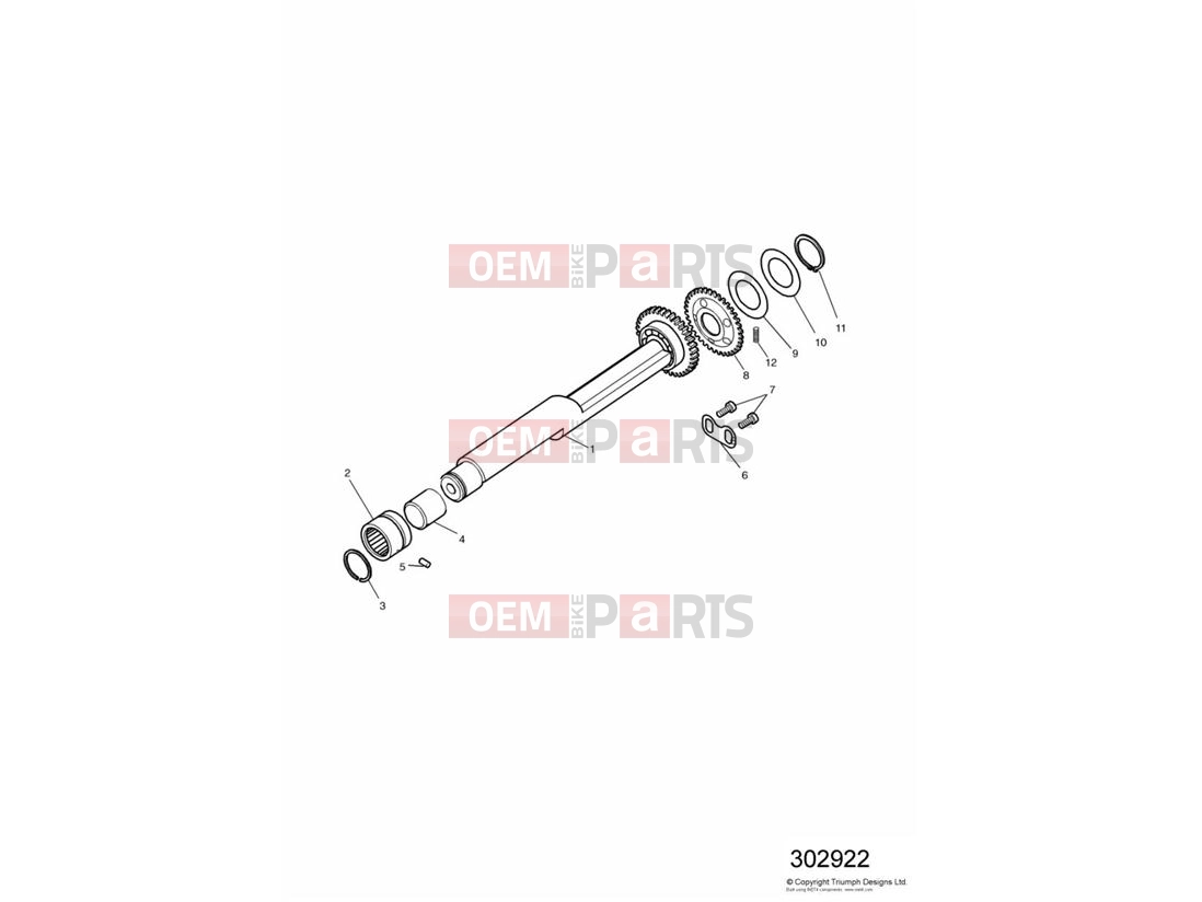 Triumph 1995 SPRINT CARBS Balancer