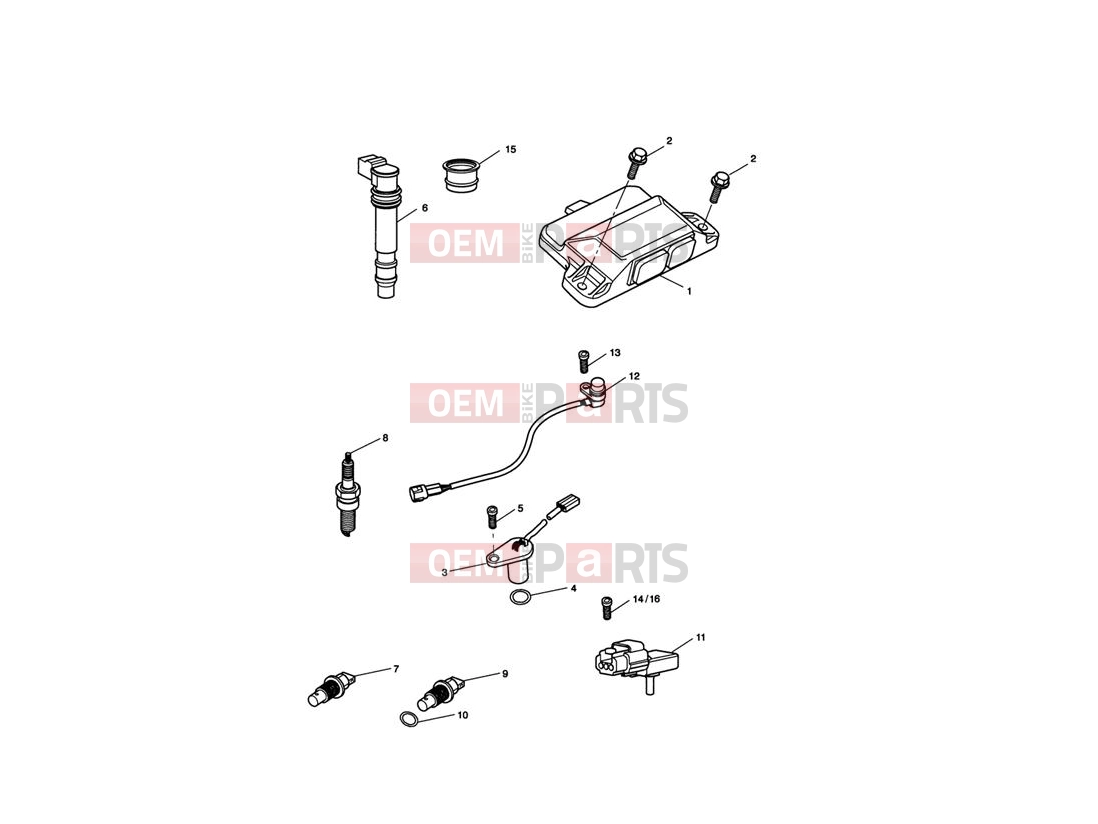 Triumph 2006 SPRINT ST 208167 > Engine Management System