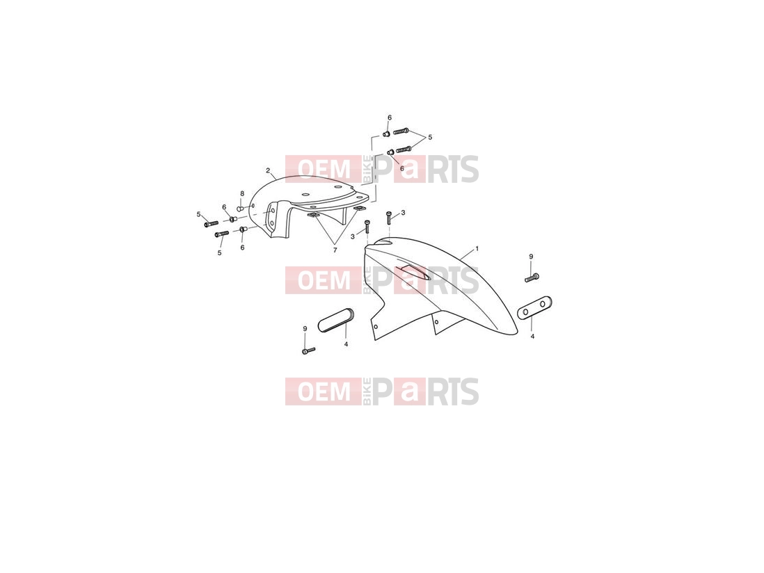 Triumph 2008 SPRINT ST 208167 > Front Mudguard