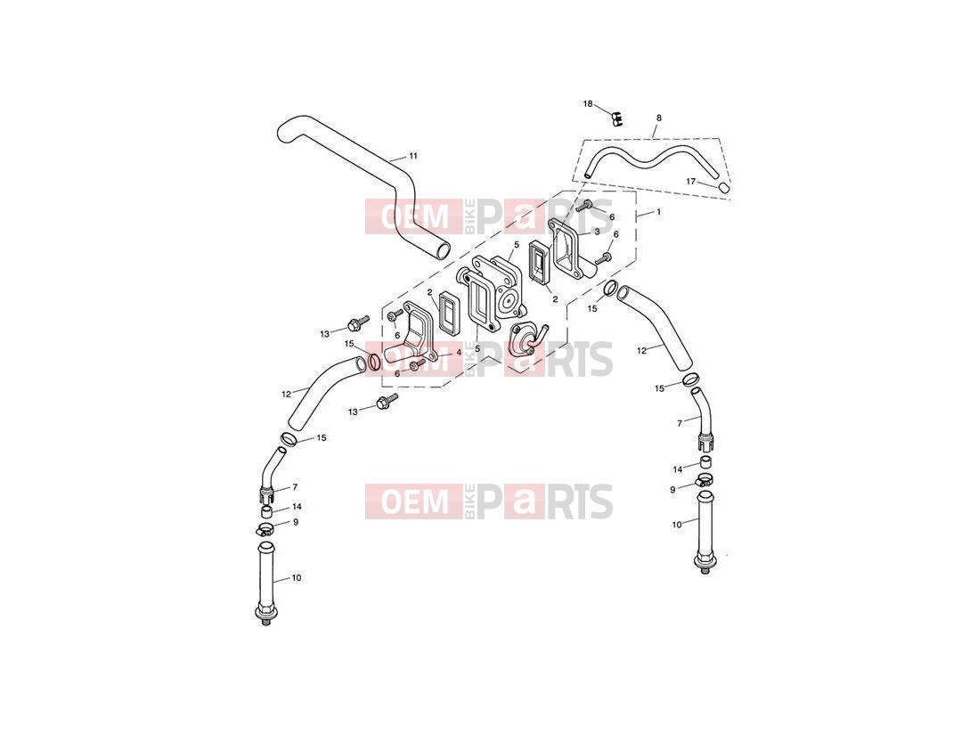 Triumph 2004 SPEEDMASTER CARBS Emissions Control