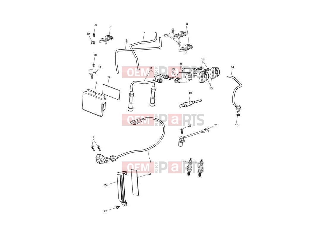 Triumph 2011 SPEEDMASTER EFI Engine Management System