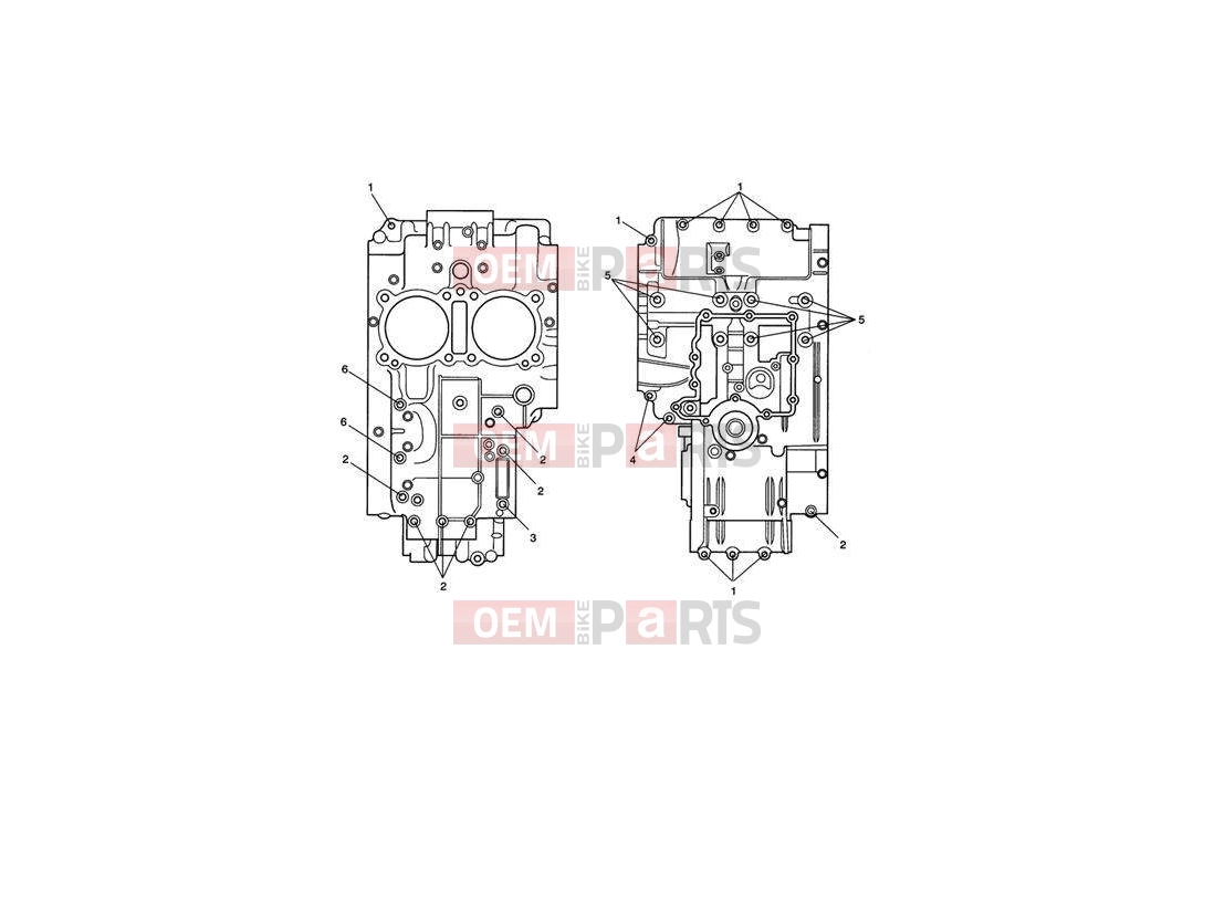 Triumph 2012 SPEEDMASTER EFI Crankcase Bolts