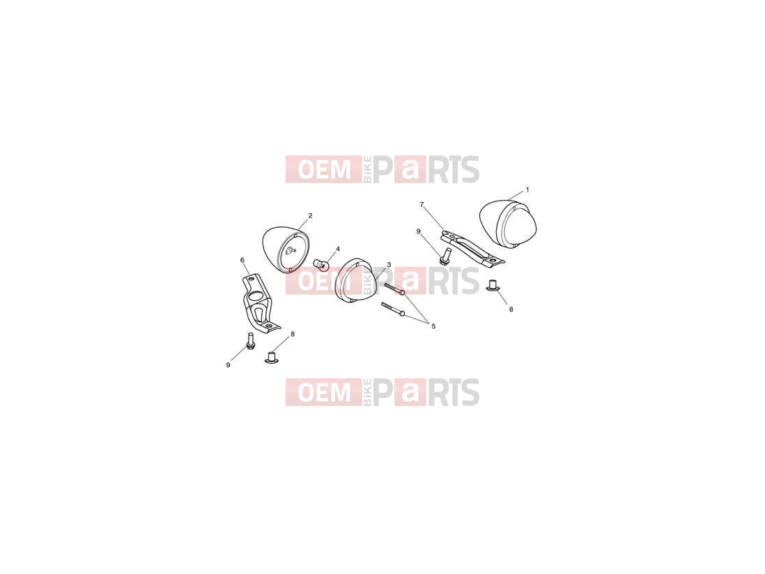 Triumph 2013 SPEEDMASTER EFI Indicators 469051