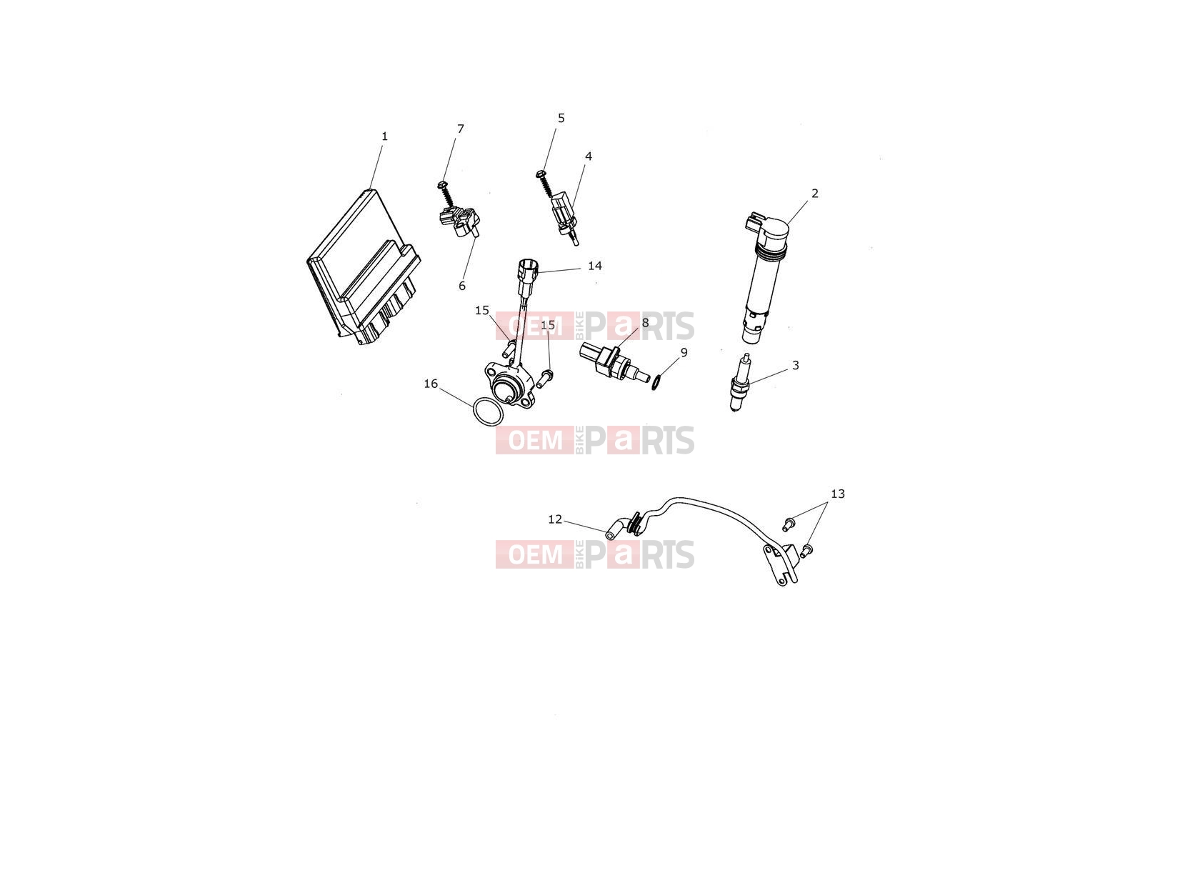Triumph 2020 TIGER 1200 XCA Engine Management System