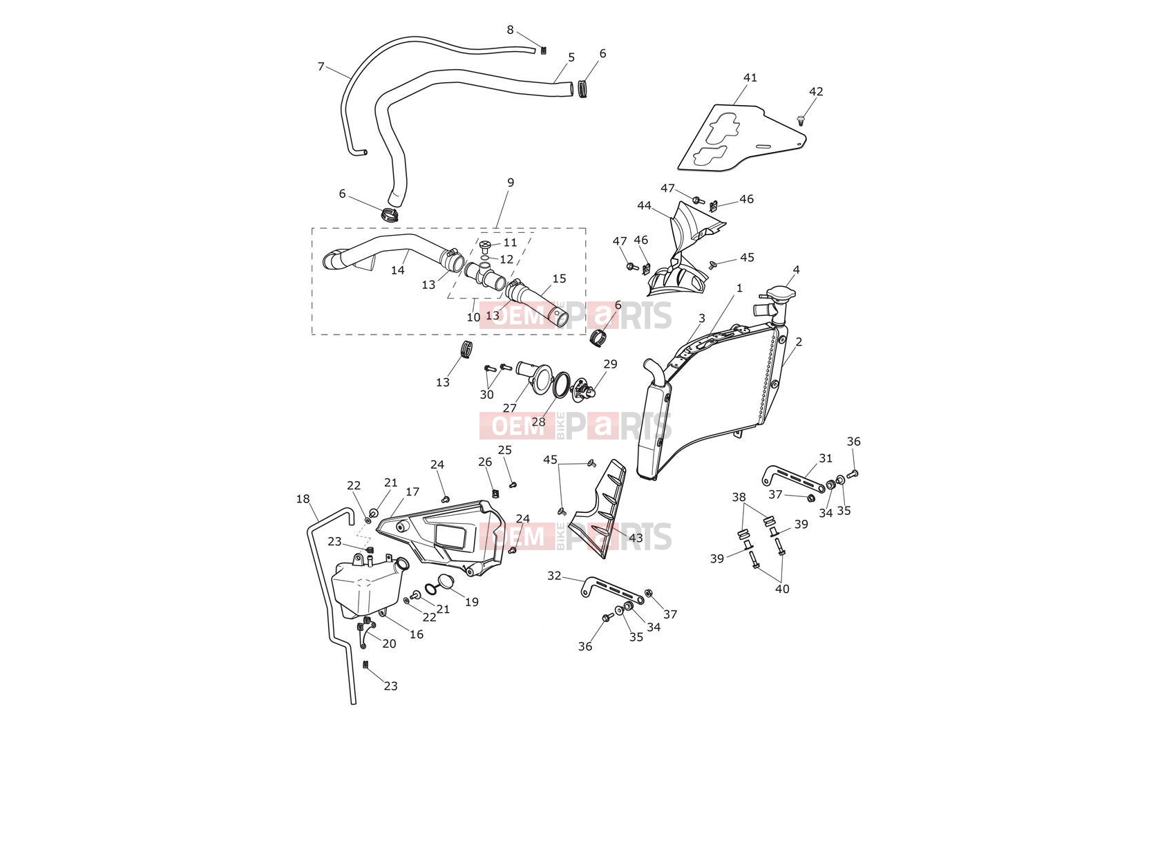Triumph 2019 TIGER 1200 XRT Cooling System