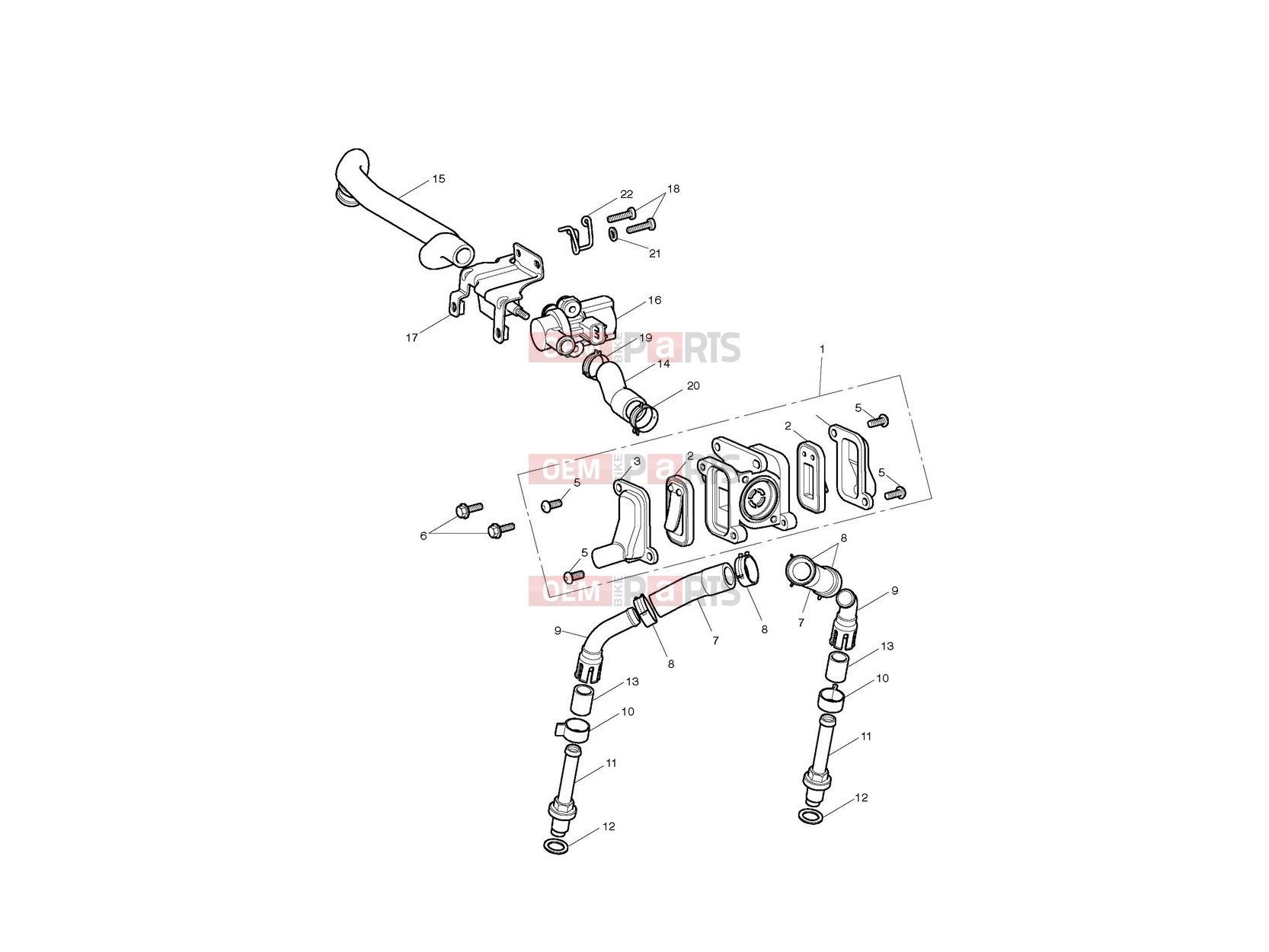 Triumph 2007 SCRAMBLER EFI Emissions Control