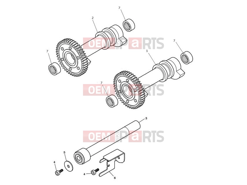 Triumph 2009 SCRAMBLER EFI Balancer