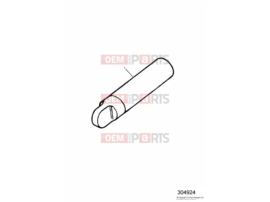 Triumph 2002 TT600 Touch-up Paint
