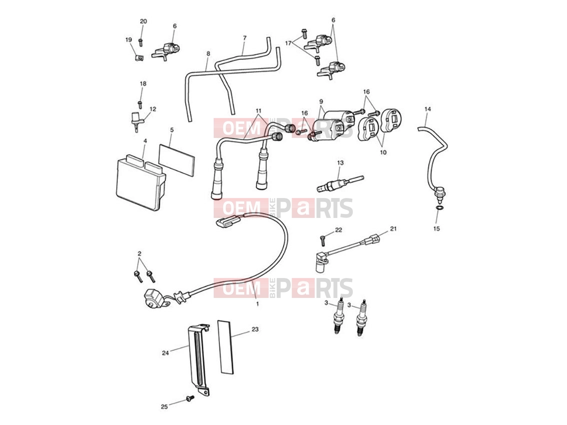 Triumph 2011 AMERICA EFI Engine Management System