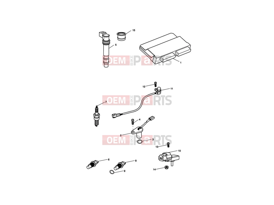 Triumph 2008 Tiger 1050 Engine Management System