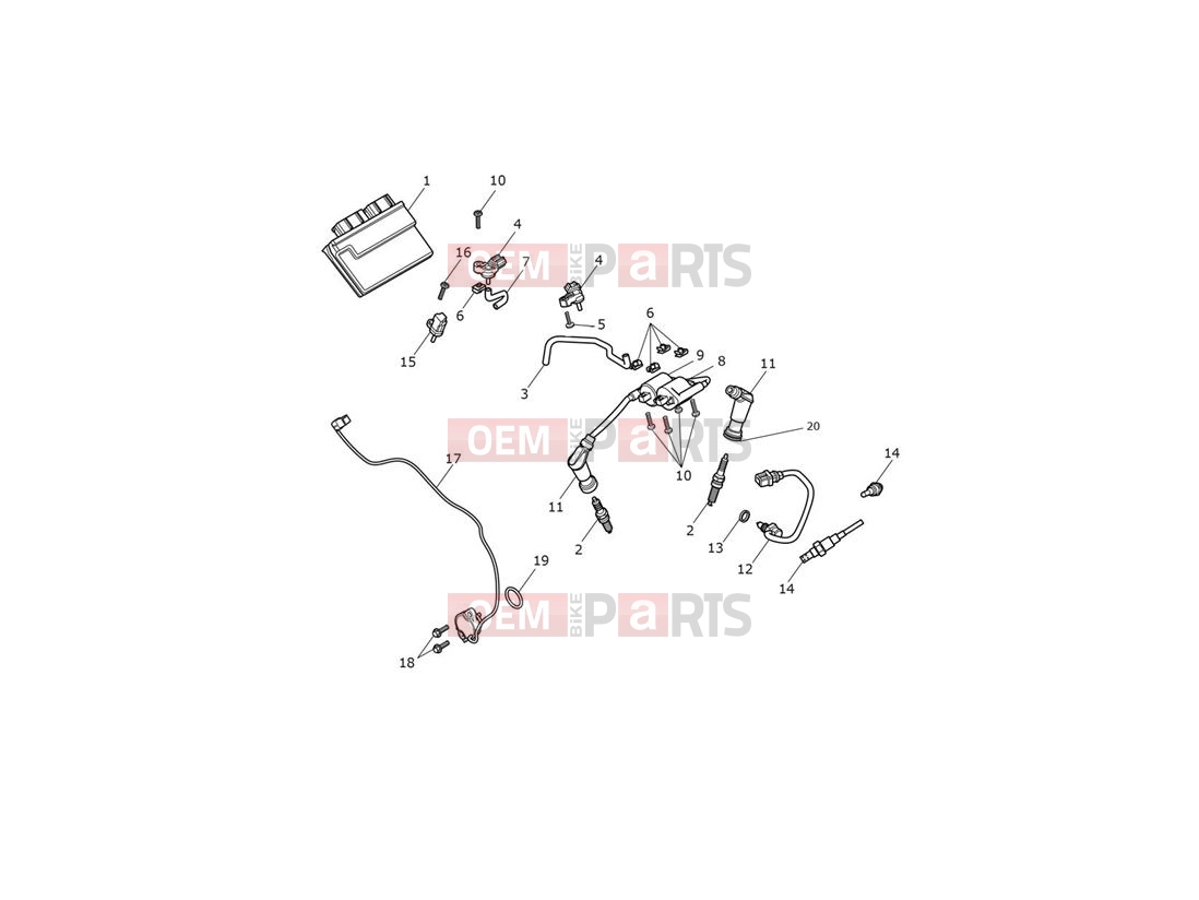 Triumph 2019 STREET CUP Engine Management System