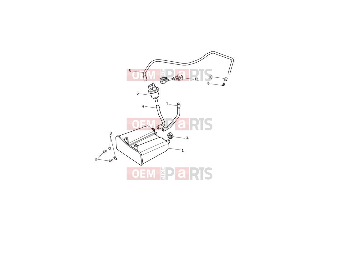 Triumph 2019 STREET CUP Evap System