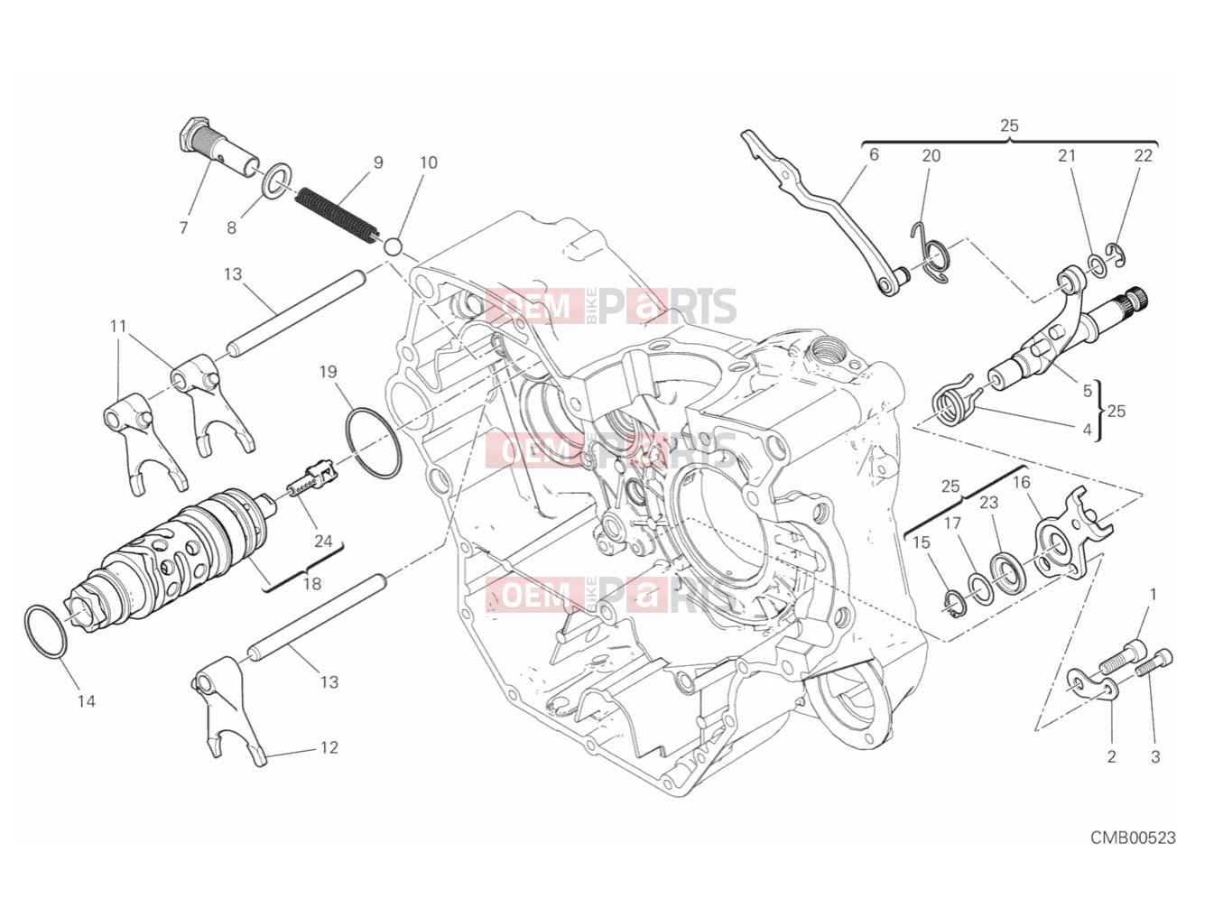 DUCATI 2019 Scrambler Icon SHIFT CAM & FORK