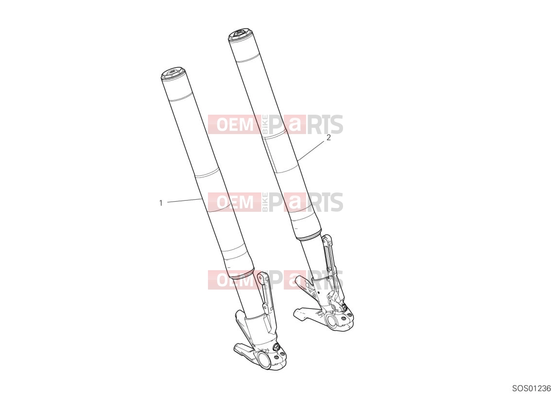 DUCATI 2023 Diavel V4 Front fork