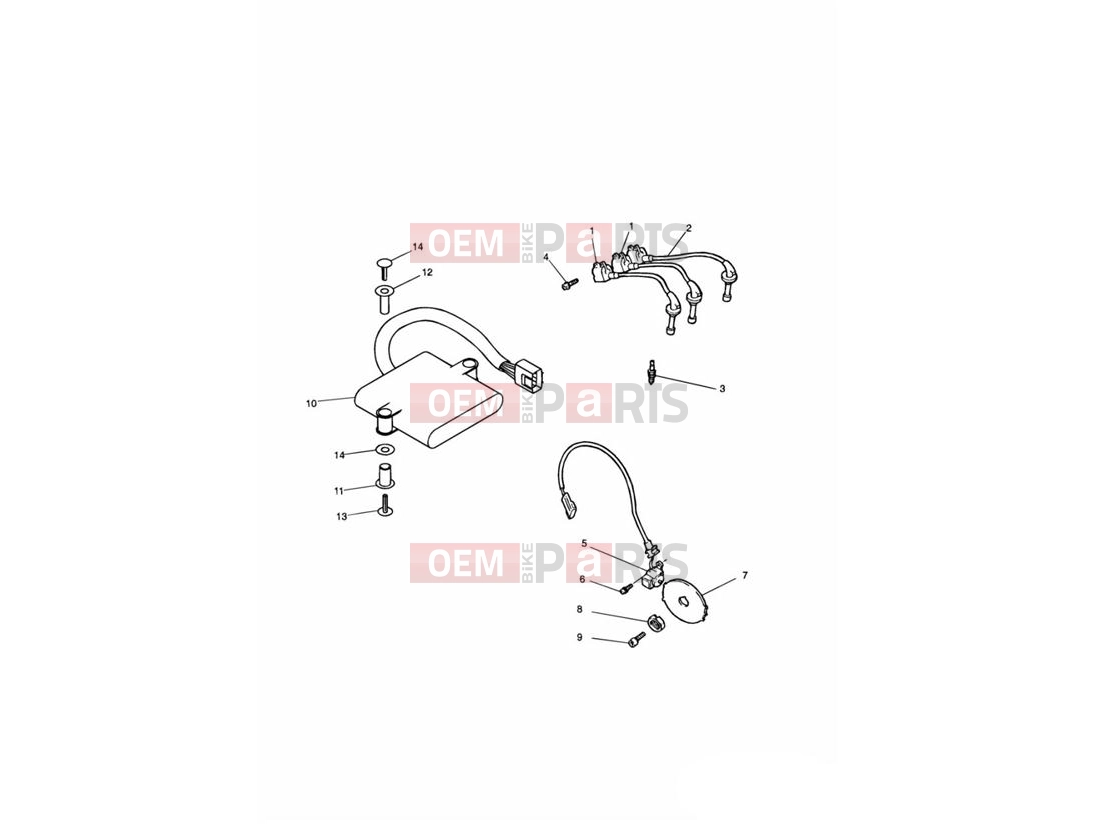 Triumph 1995 THUNDERBIRD Ignition System 71699 »  » 111989