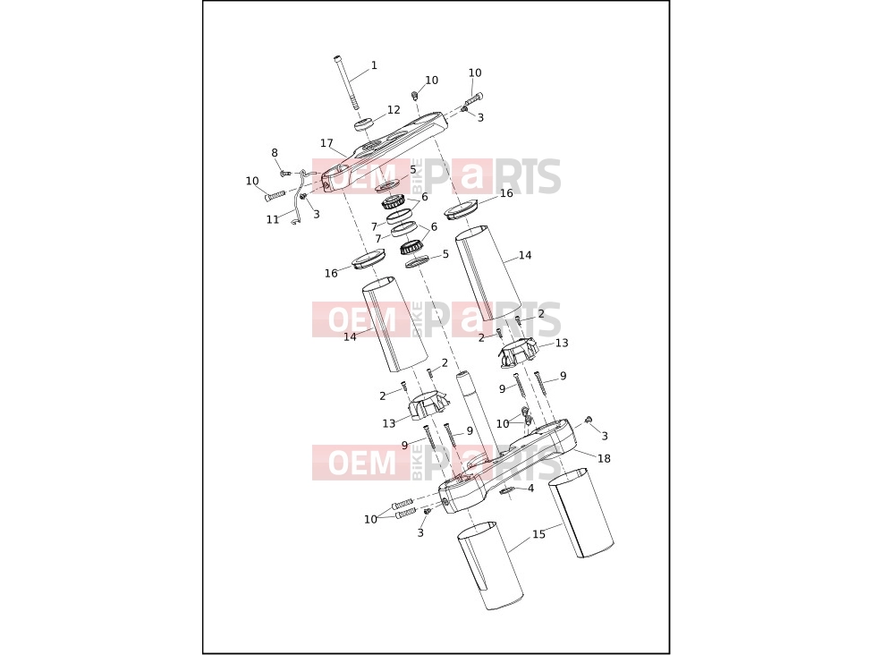 Harley-Davidson 2019 SOFTAIL SOFTAIL LOW RIDER  - FXLR FORK BRACKETS, FRONT - FLSL