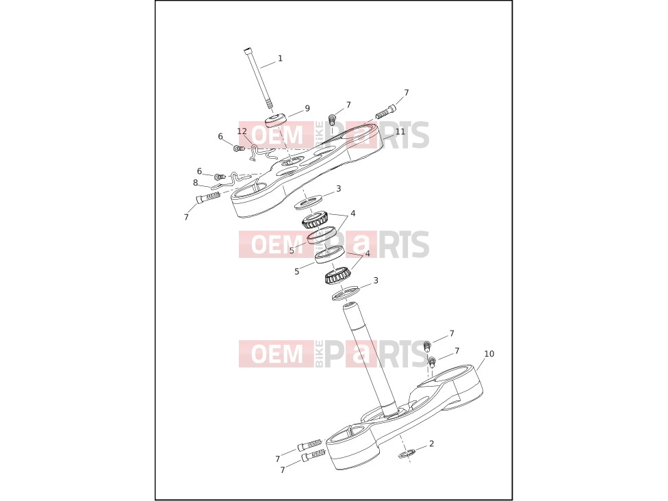 Harley-Davidson 2019 SOFTAIL SOFTAIL FAT BOB  - FXFB FORK BRACKETS, FRONT - FLSB