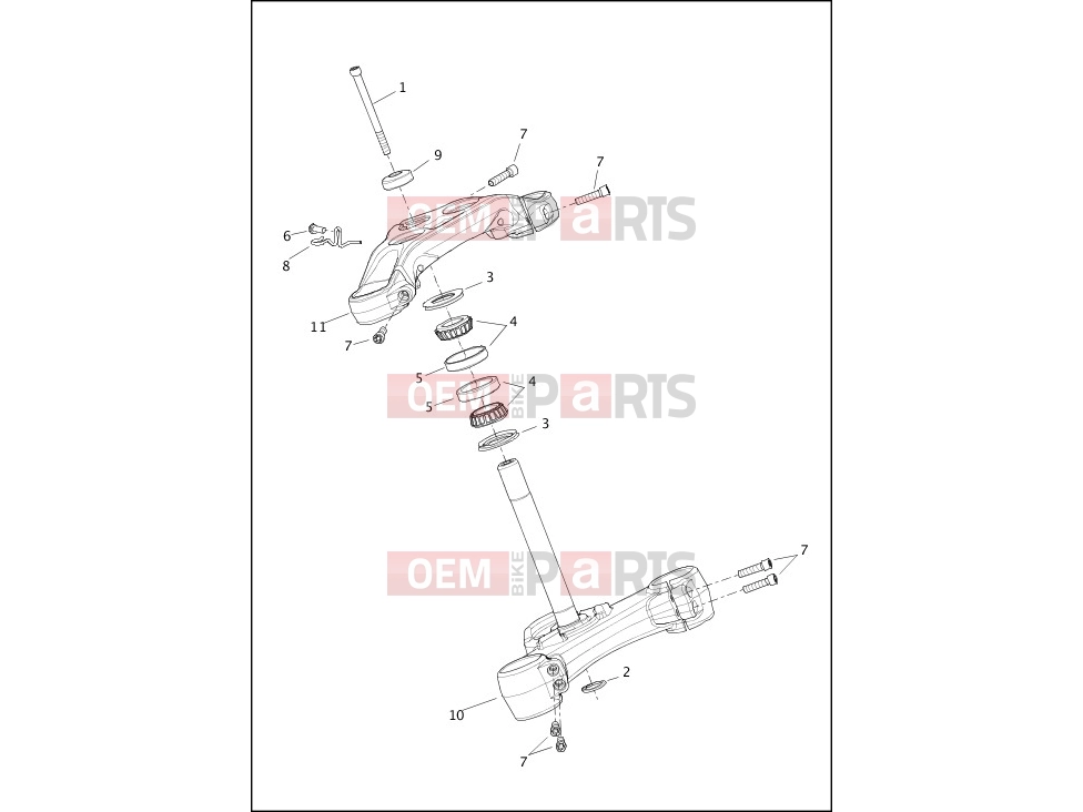 Harley-Davidson 2019 SOFTAIL SOFTAIL BREAKOUT  - FXBR FORK BRACKETS, FRONT - FXBR, FXBRS