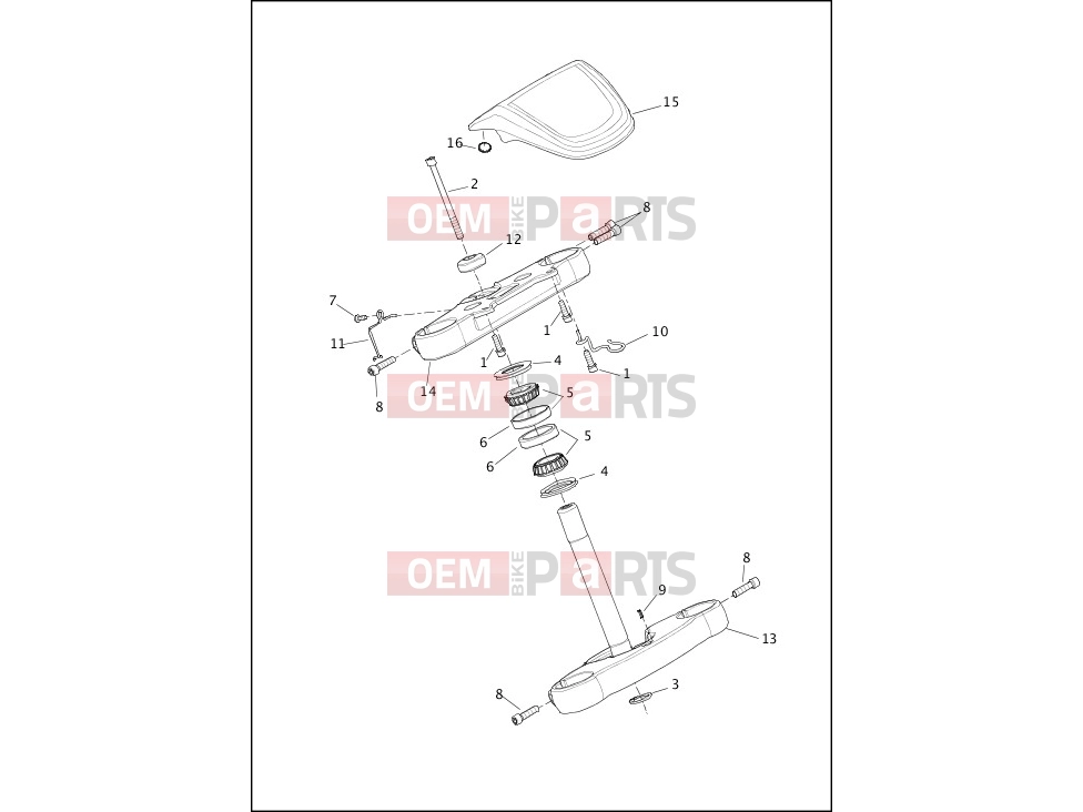 Harley-Davidson 2018 SOFTAIL SOFTAIL BREAKOUT 114  - FXBRS FORK BRACKETS, FRONT - FXLR