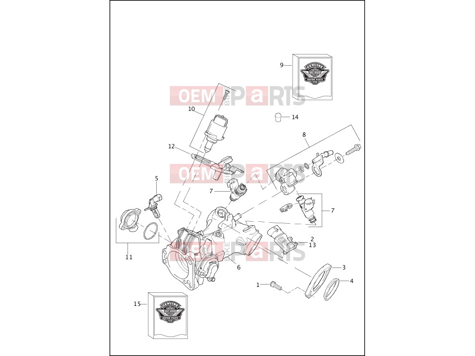 Harley-Davidson 2014 SOFTAIL SOFTAIL STANDARD  - FXST INDUCTION MODULE, FUEL