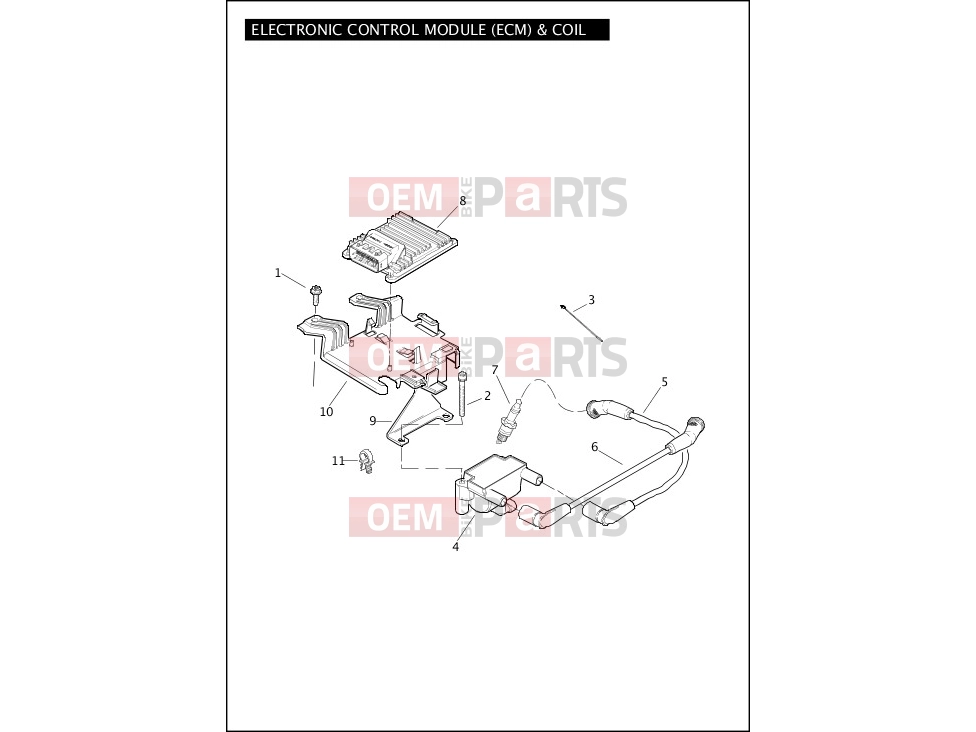 Harley-Davidson 2012 CVO/CUSTOM CVO ULTRA CLASSIC  - FLHTCUSE7 ELECTRONIC CONTROL MODULE (ECM) & COIL