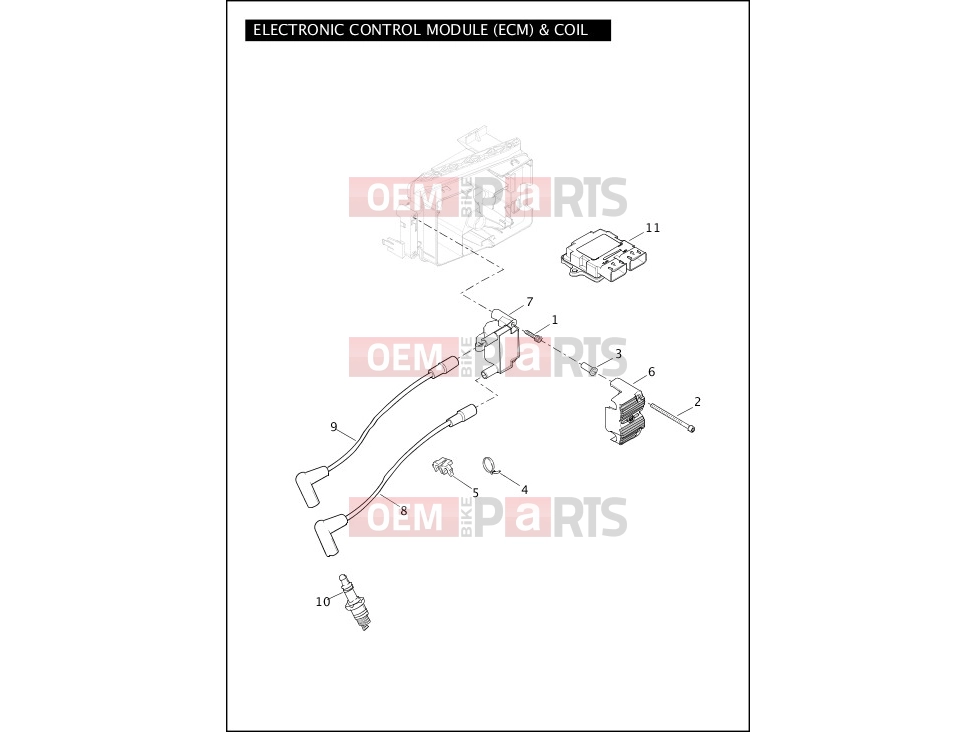 Harley-Davidson 2012 DYNA DYNA WIDE GLIDE  - FXDWG ELECTRONIC CONTROL MODULE (ECM) & COIL