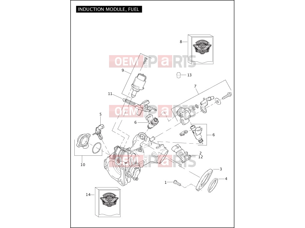 Harley-Davidson 2012 SOFTAIL SOFTAIL SLIM  - FLS INDUCTION MODULE, FUEL