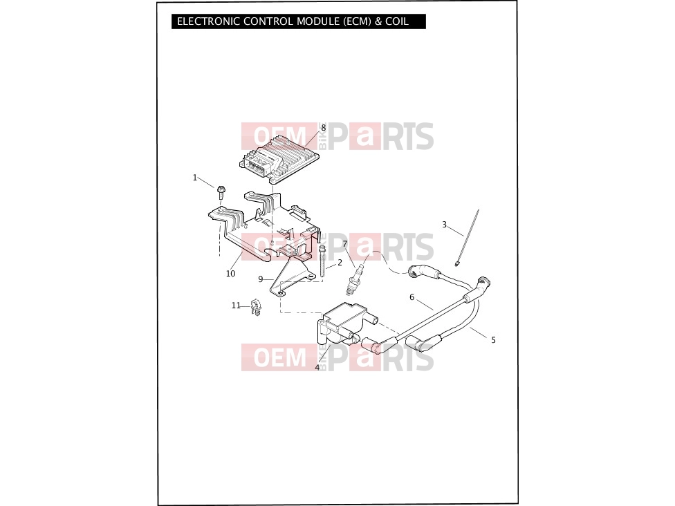 Harley-Davidson 2012 TOURING ULTRA CLASSIC  - FLHTCU ELECTRONIC CONTROL MODULE (ECM) & COIL