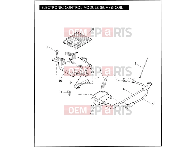 Harley-Davidson 2011 TOURING ELECTRA GLIDE CLASSIC  - FLHTC ELECTRONIC CONTROL MODULE (ECM) & COIL