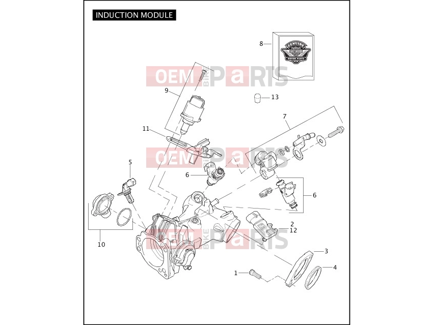 Harley-Davidson 2009 SOFTAIL ROCKER C  - FXCWC INDUCTION MODULE
