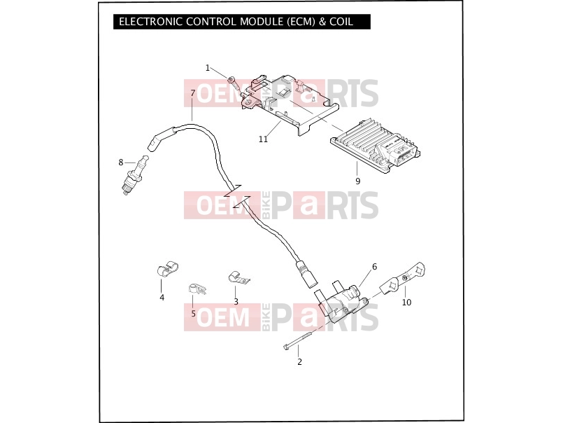 Harley-Davidson 2008 TOURING ELECTRA GLIDE STANDARD  - FLHT ELECTRONIC CONTROL MODULE (ECM) & COIL