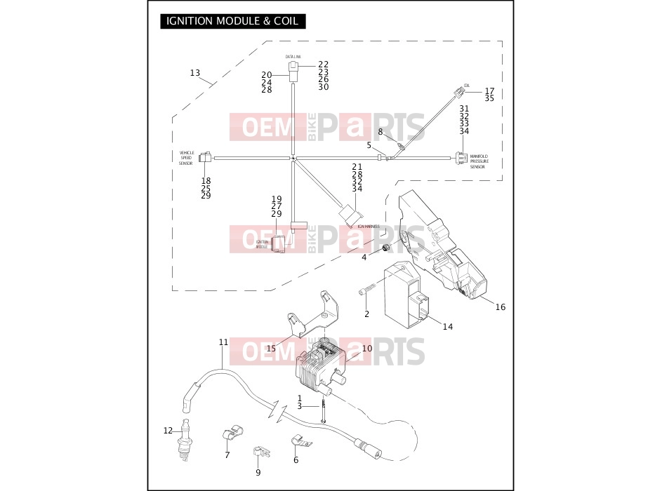 Harley-Davidson 2005 TOURING ELECTRA GLIDE CLASSIC  - FLHTCI IGNITION MODULE & COIL