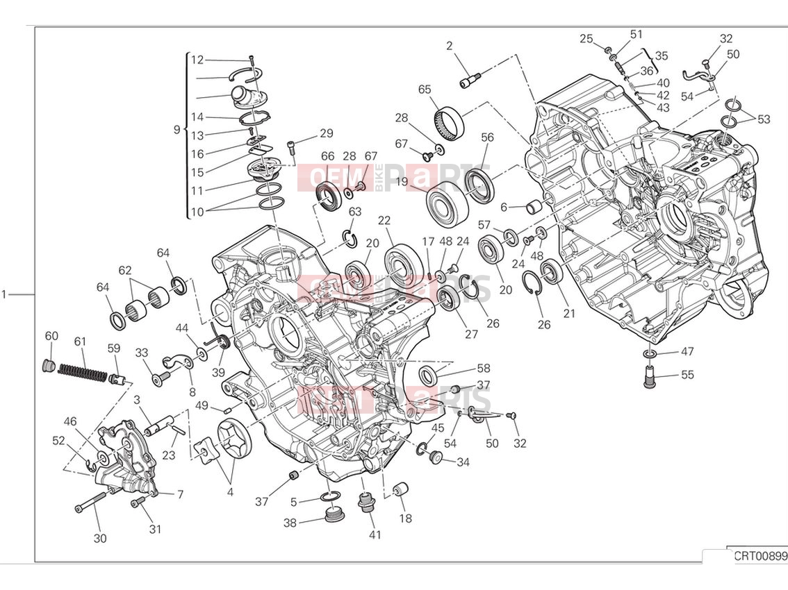DUCATI 2024 Monster Plus Crankcase (1)