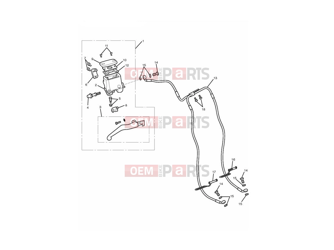 Triumph 2010 THUNDERBIRD Front Brake Master Cylinder & Hoses