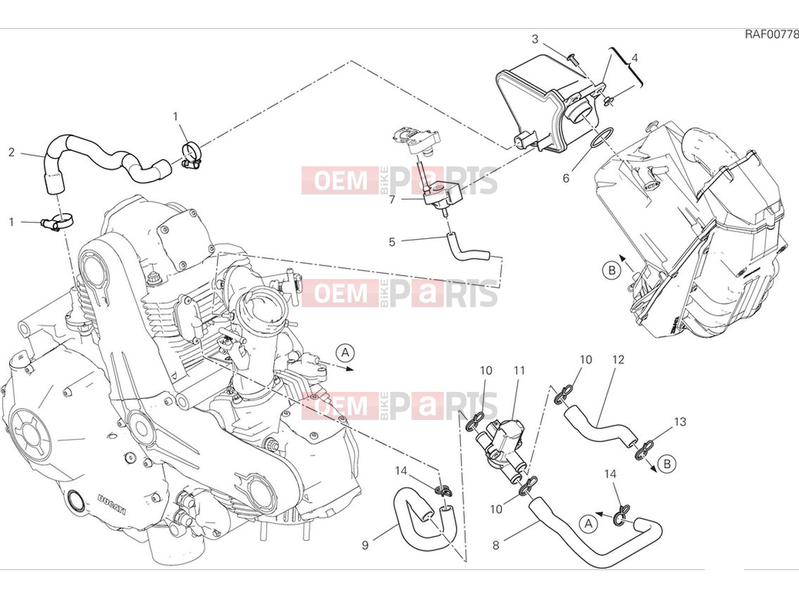 DUCATI 2024 Scrambler Nightshift Secondary air system