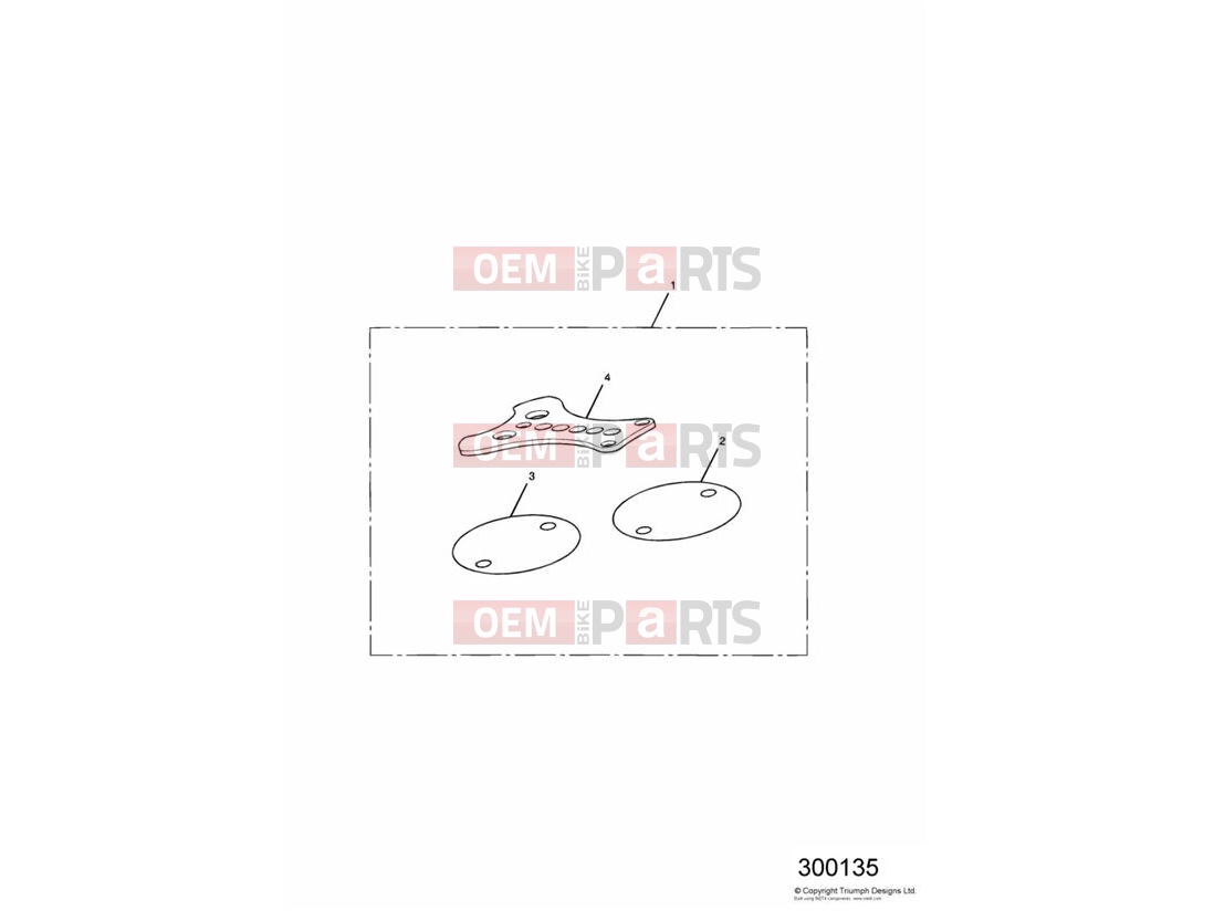 Triumph 2002 THUNDERBIRD Instrument Plate Kit
