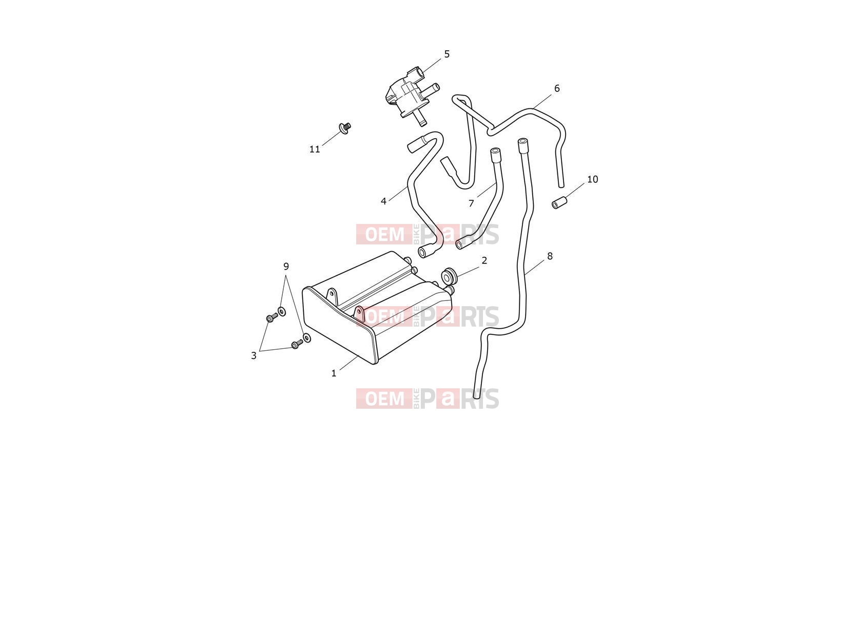 Triumph 2024 Scrambler 900 Evap System