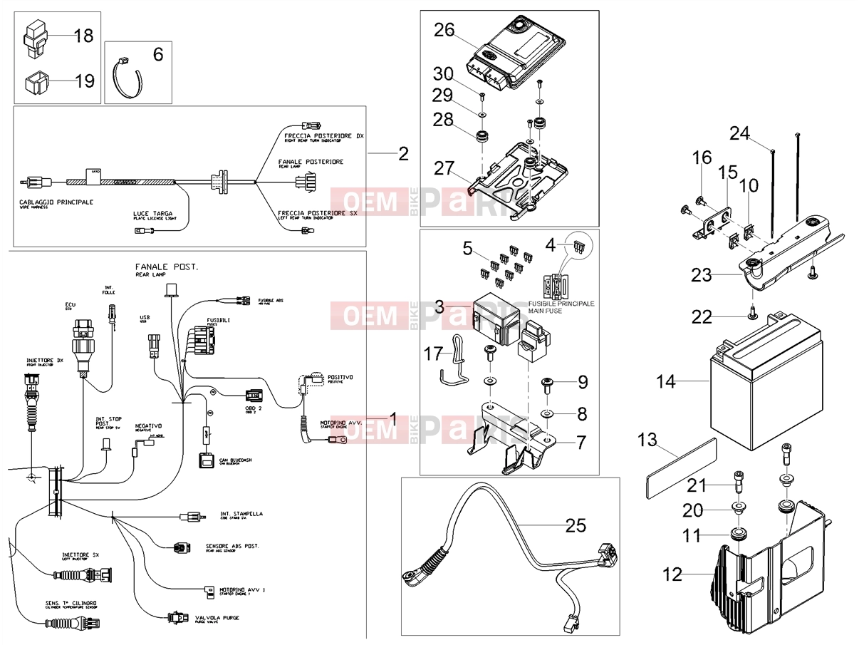 MOTOGUZZI V7 Special E5+ (EU) Electrical systems » Rear electrical system