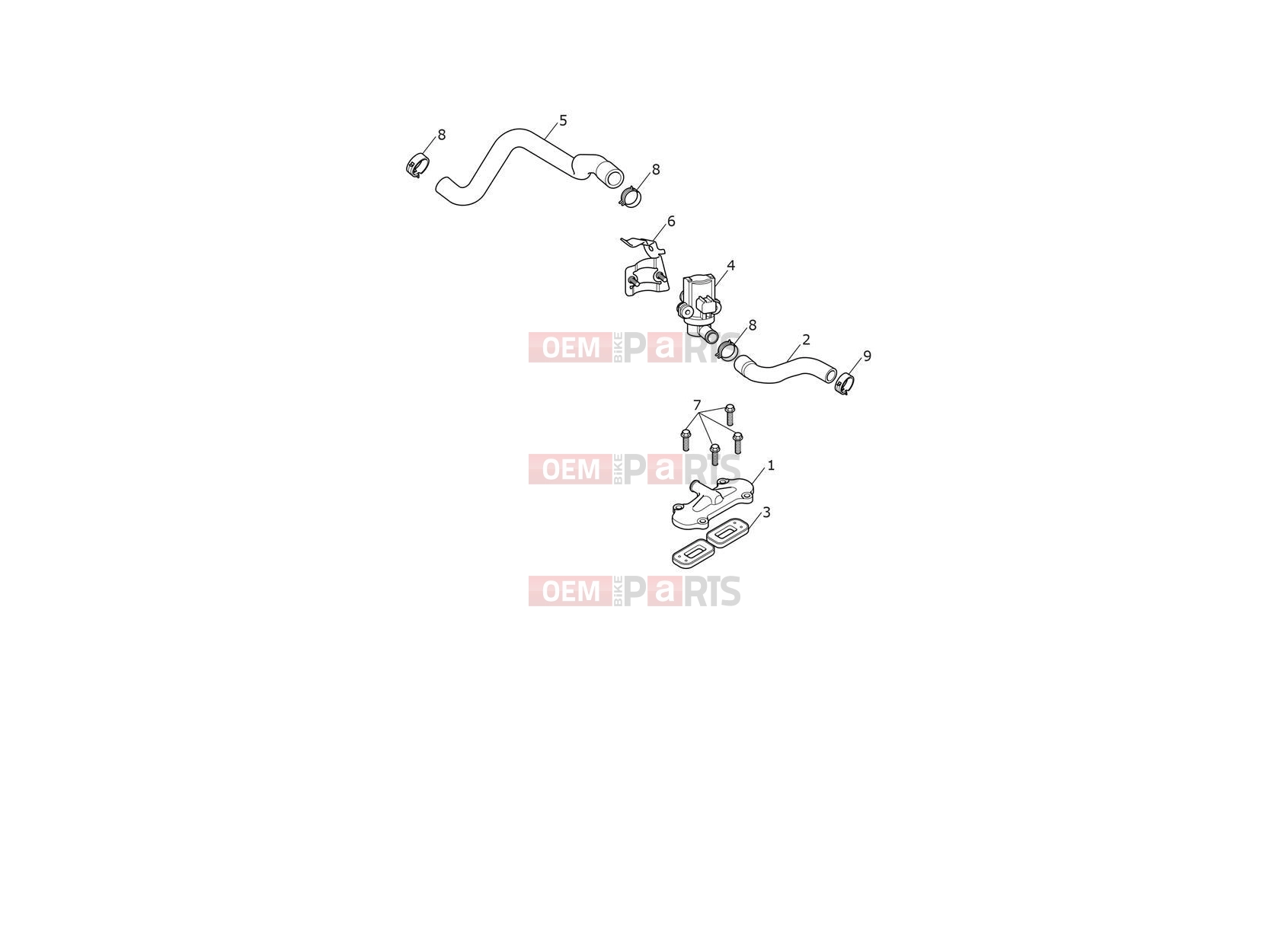 Triumph 2024 Thruxton RS Emissions Control