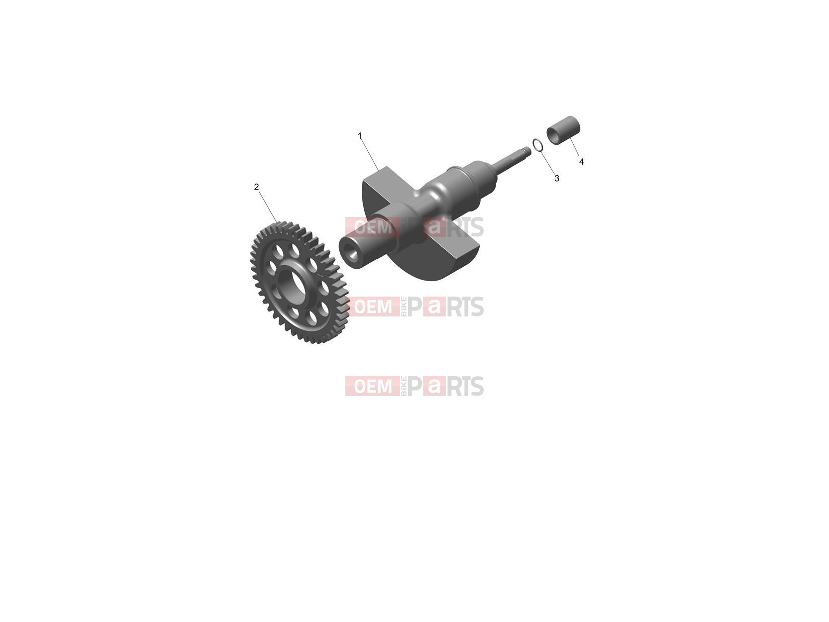 Triumph 2024 Speed 400 Balancer