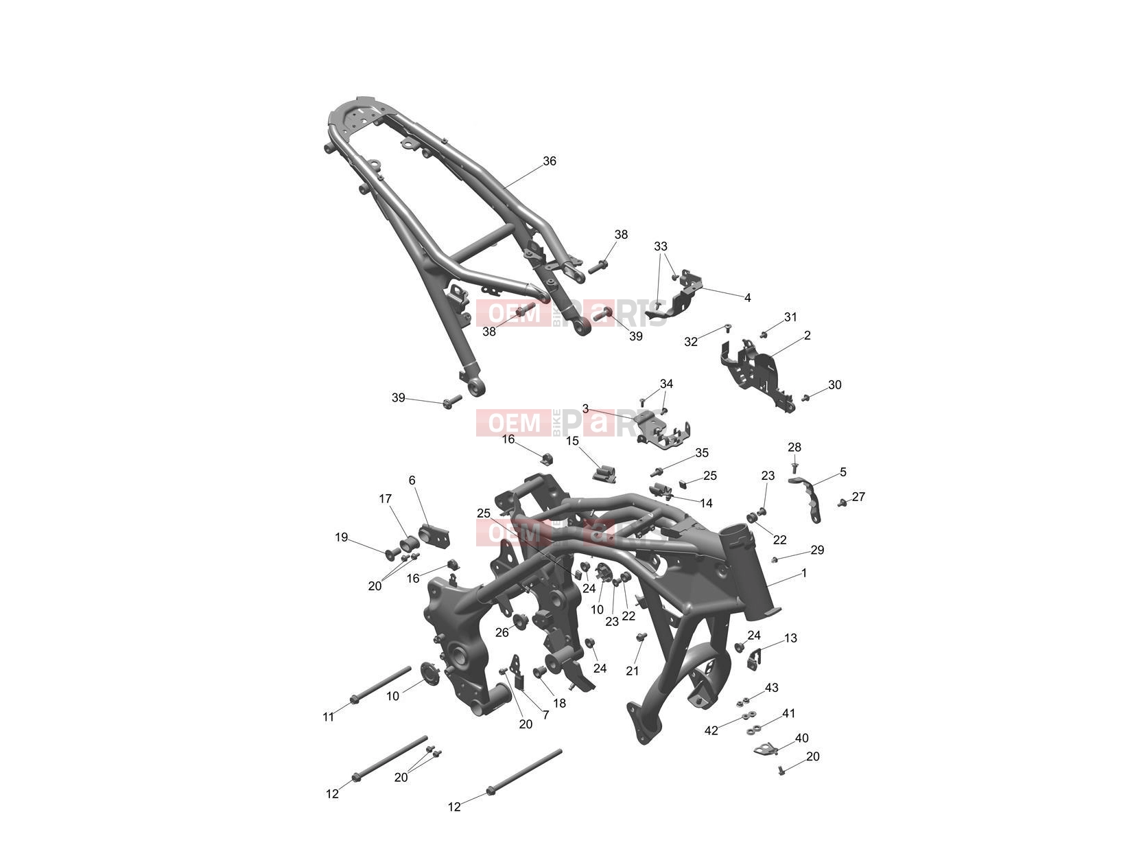 Triumph 2024 Speed 400 Frame & Rear Subframe