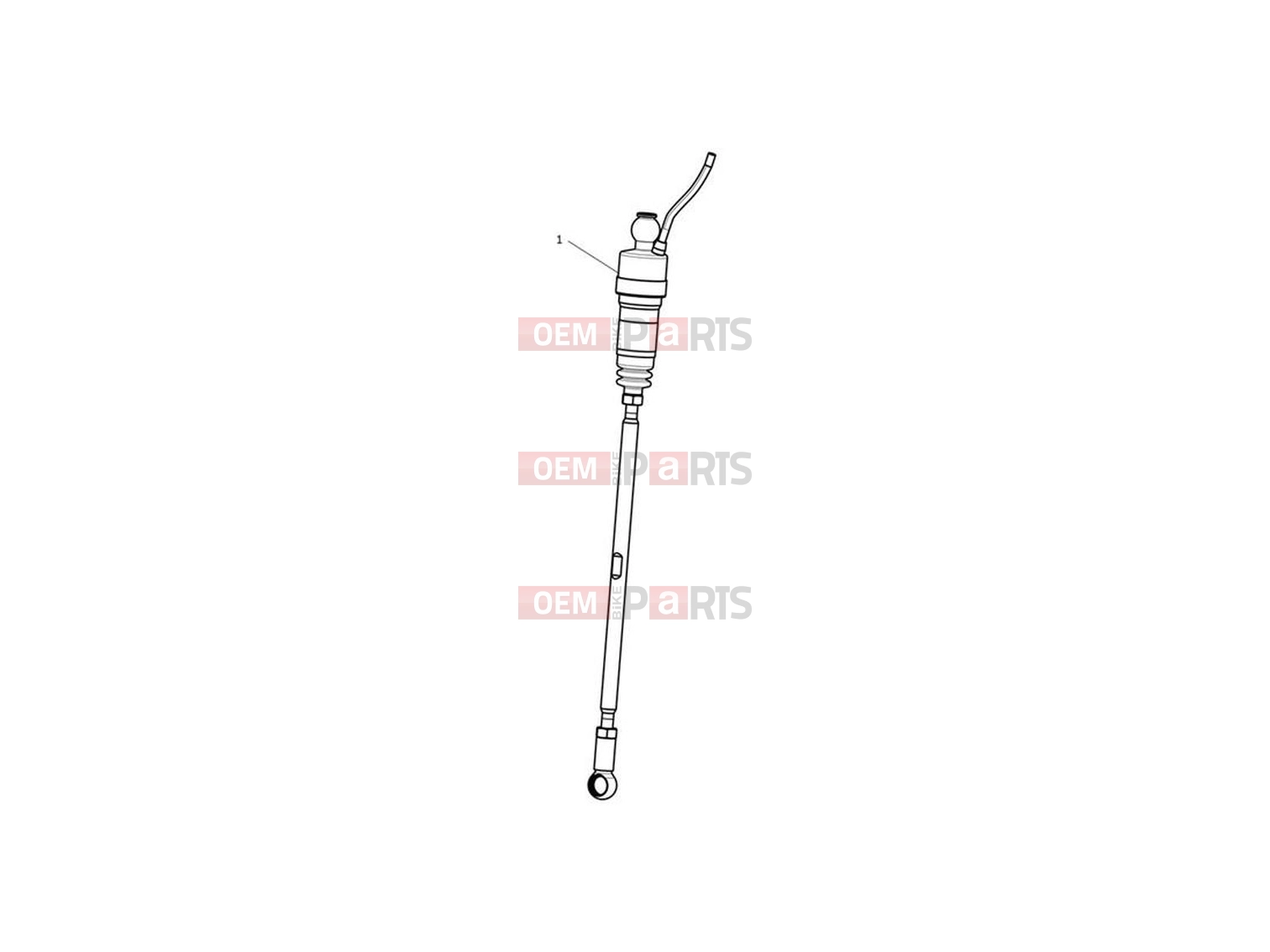 Triumph 2022 Trident 660 Shift Assist